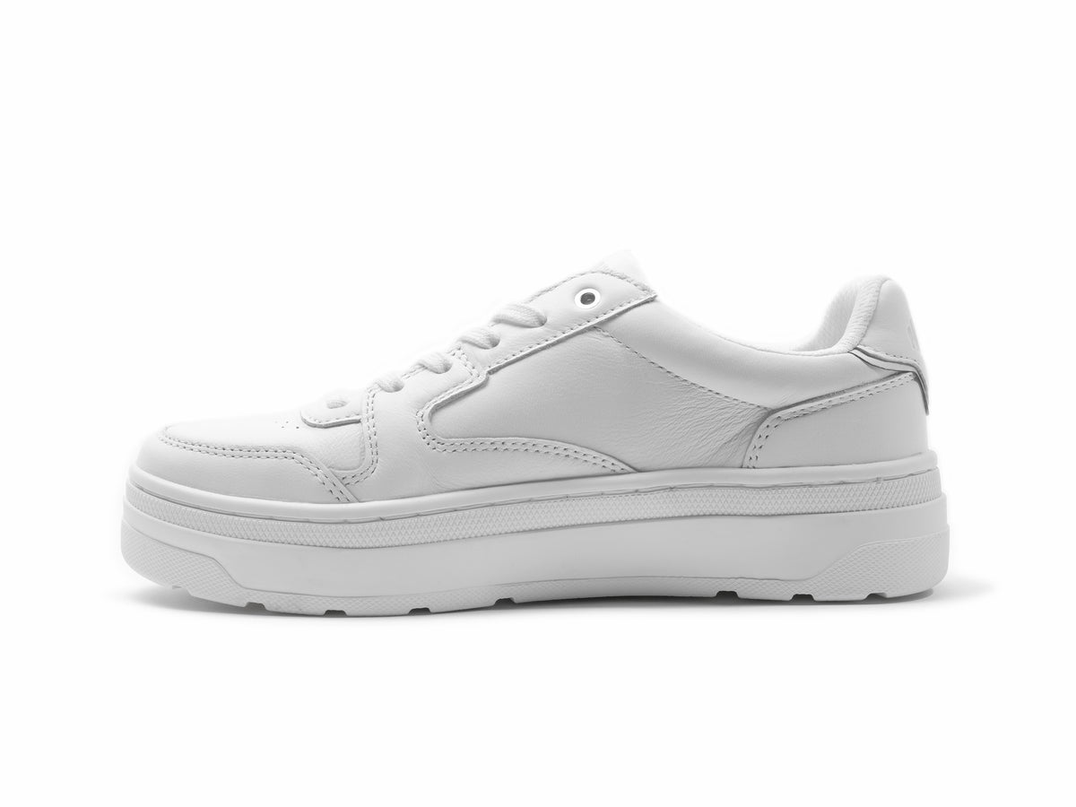 STAR WHITE PALLASPHALT LO LEATHER - Palladium Best Price