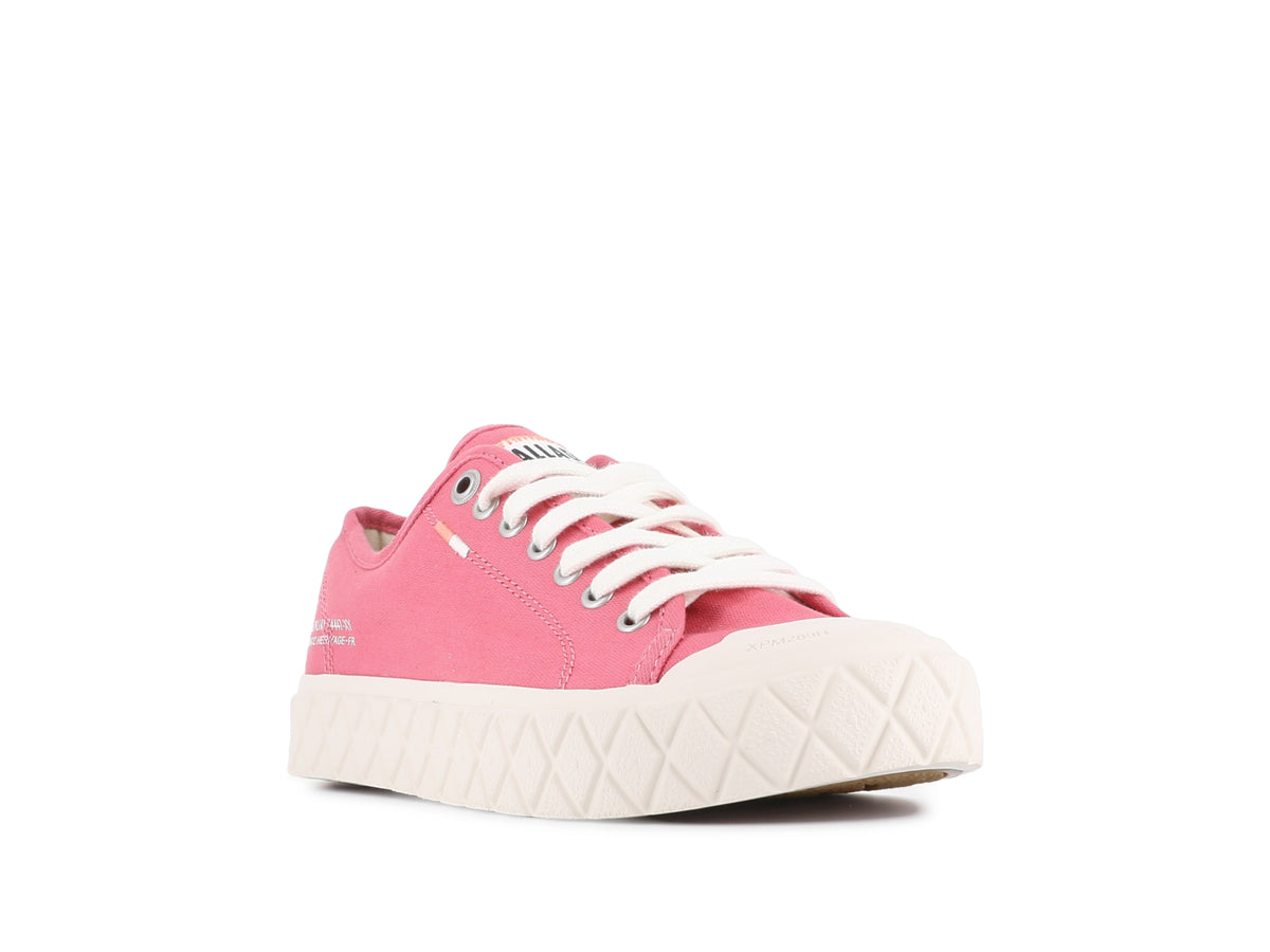 BERRY SHAKE PALLA ACE CVS ORG - Palladium Great Value